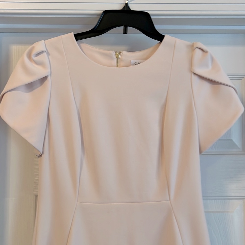 Calvin Klein Petal Sleeve Sheath rose nude size 8 dress